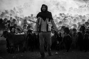 Salon Honorable Mention